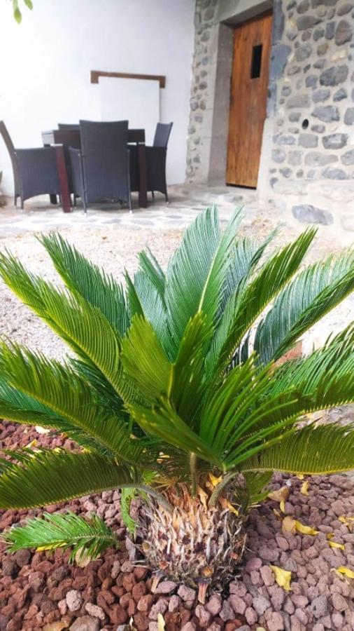 Le Cocon Ardechois * Saint-Martin-le-Superieur